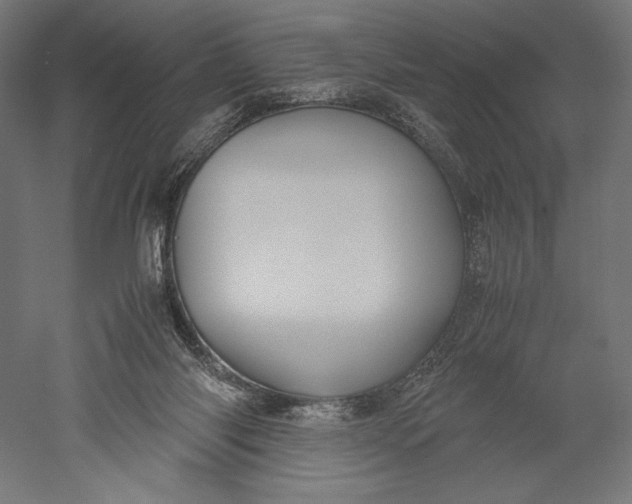 X0000051250118200507011702