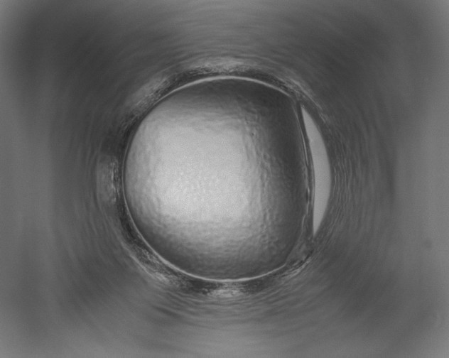 X0000051250119200507011702