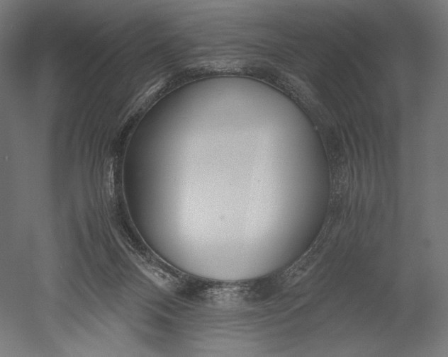 X0000051250120200507011702