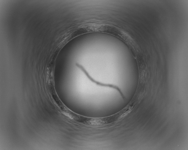 X0000051250121200507011702