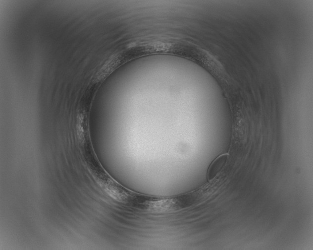 X0000051250122200507011702