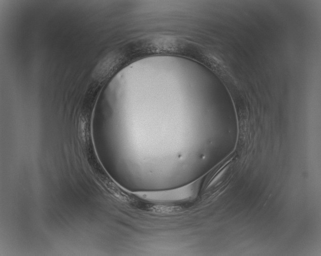 X0000051250123200507011702