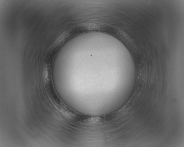 X0000051250124200507011702