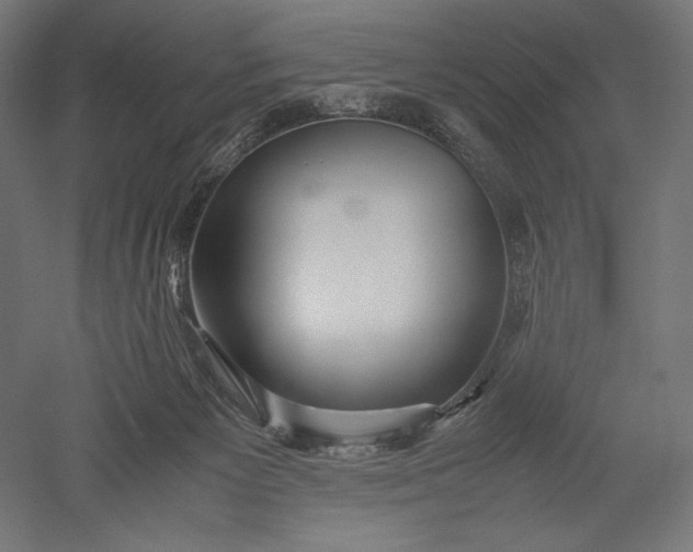 X0000051250125200507011702