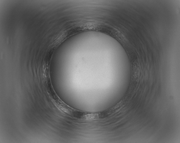 X0000051250126200507011702