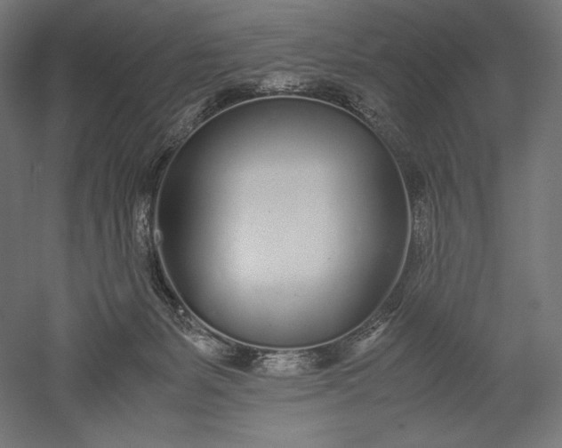 X0000051250127200507011702