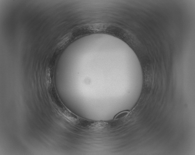 X0000051250128200507011702