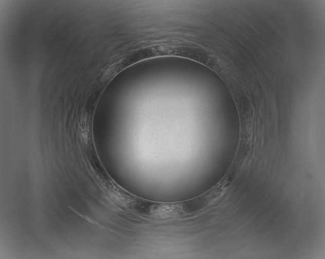 X0000051250129200507011702