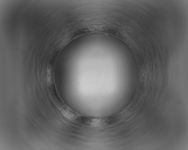 X0000051250130200507011702