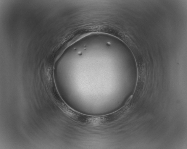 X0000051250131200507011702