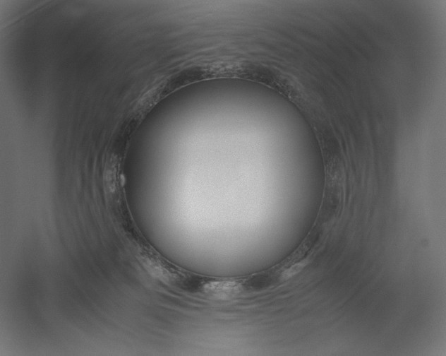 X0000051250133200507011702