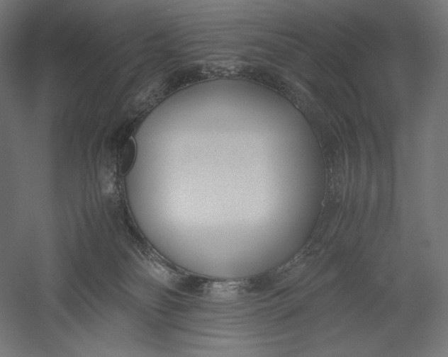 X0000051250134200507011702