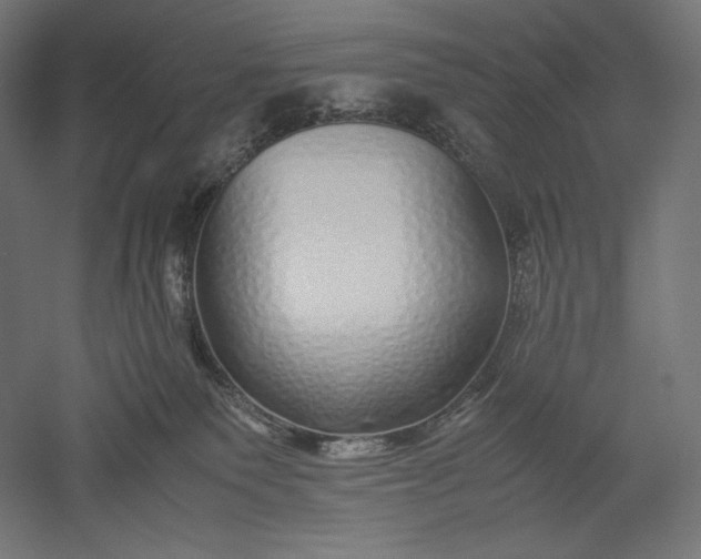 X0000051250135200507011702