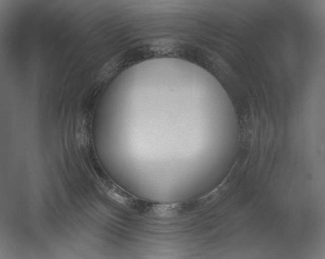 X0000051250136200507011702