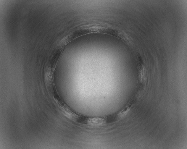 X0000051250137200507011702