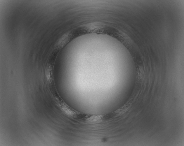 X0000051250138200507011702