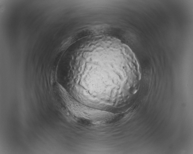 X0000051250139200507011702