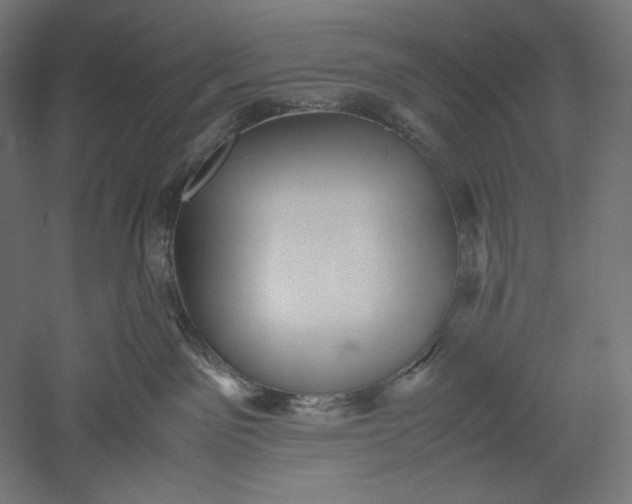 X0000051250141200507011702