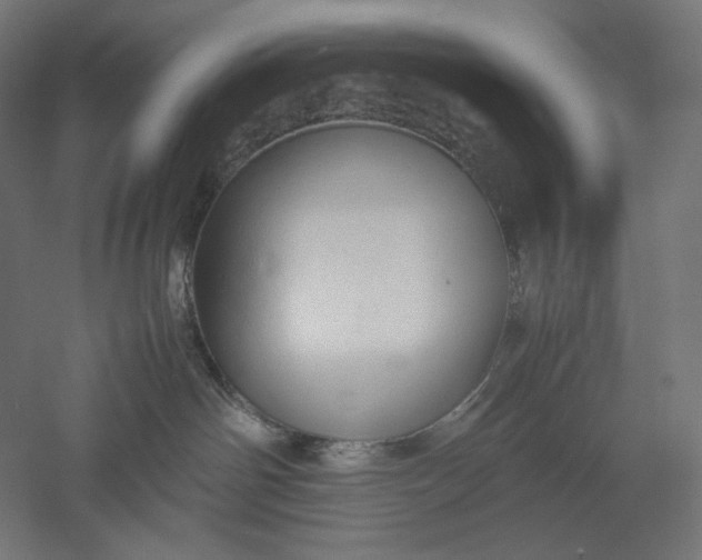 X0000051250142200507011702