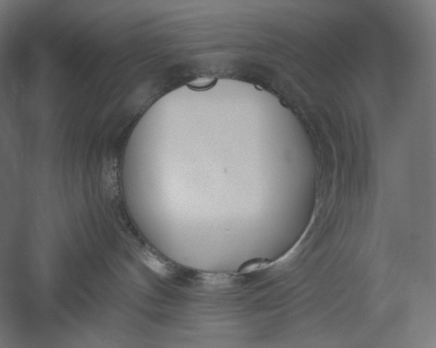 X0000051250144200507011702