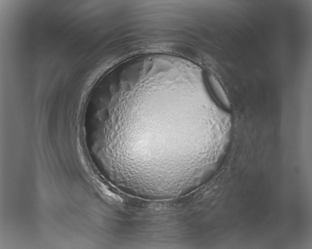 X0000051250145200507011701