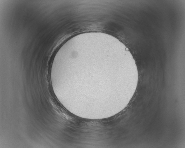 X0000051250146200507011701