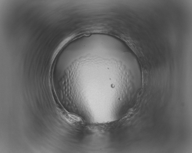 X0000051250147200507011701