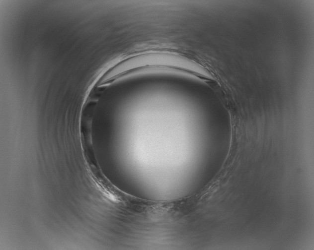 X0000051250148200507011701