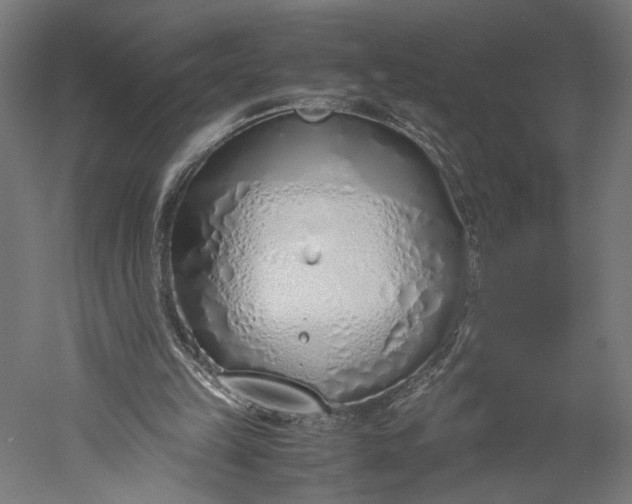 X0000051250149200507011701