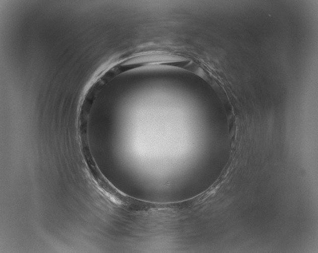 X0000051250150200507011701