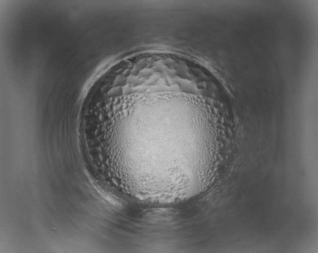 X0000051250151200507011701