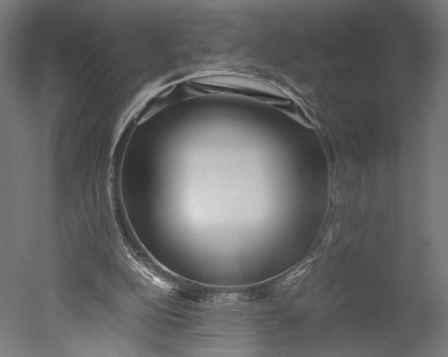 X0000051250152200507011701