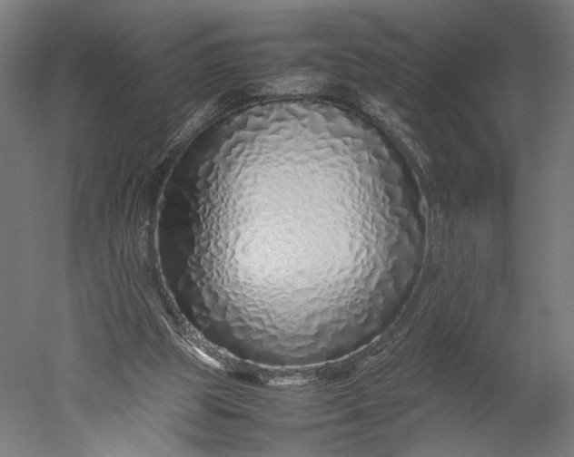 X0000051250153200507011701