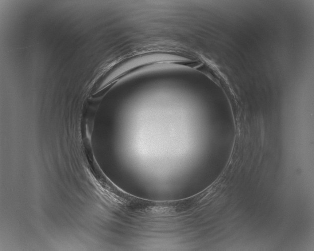 X0000051250154200507011701