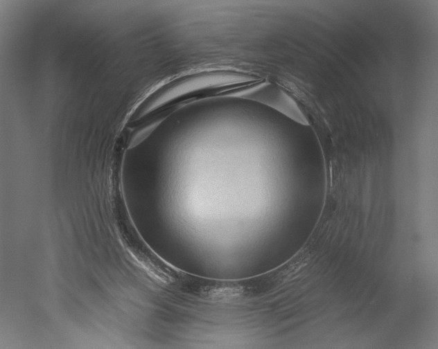 X0000051250156200507011701