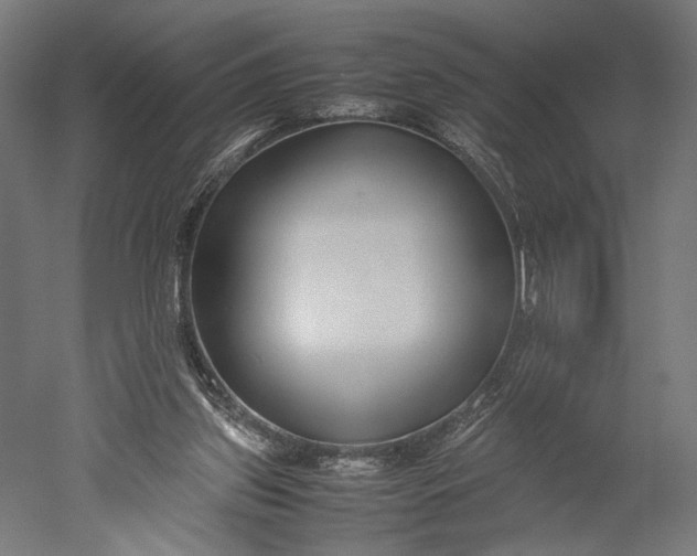 X0000051250157200507011701