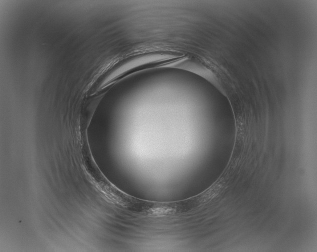 X0000051250158200507011701