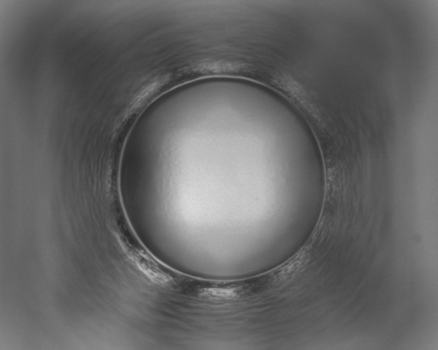 X0000051250159200507011701