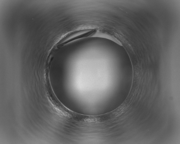 X0000051250160200507011701