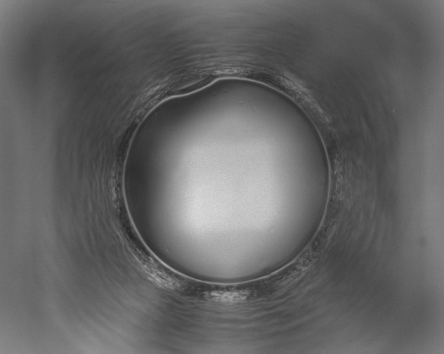 X0000051250161200507011701