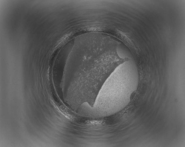 X0000051250163200507011701