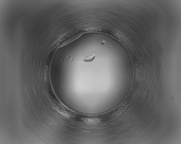 X0000051250165200507011701