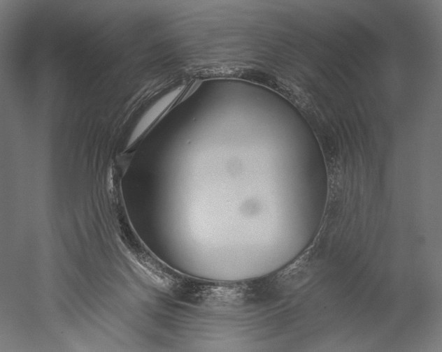 X0000051250166200507011701