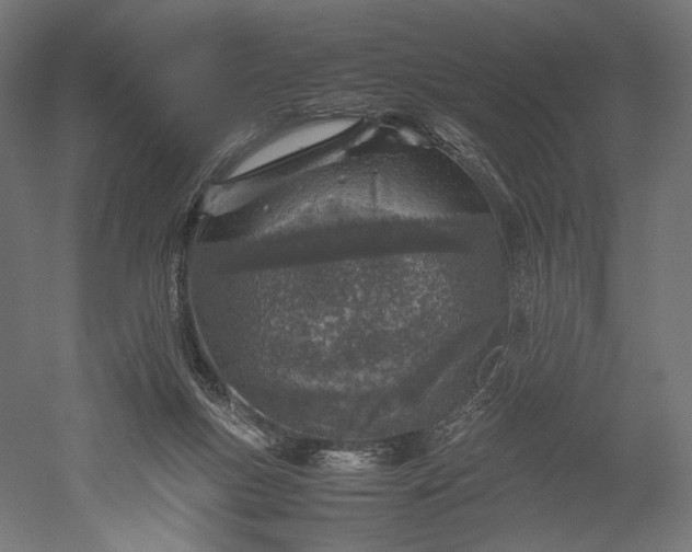 X0000051250167200507011701