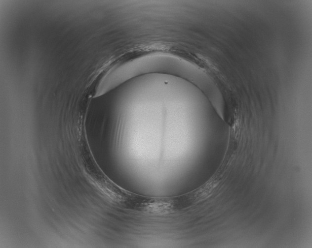 X0000051250168200507011701