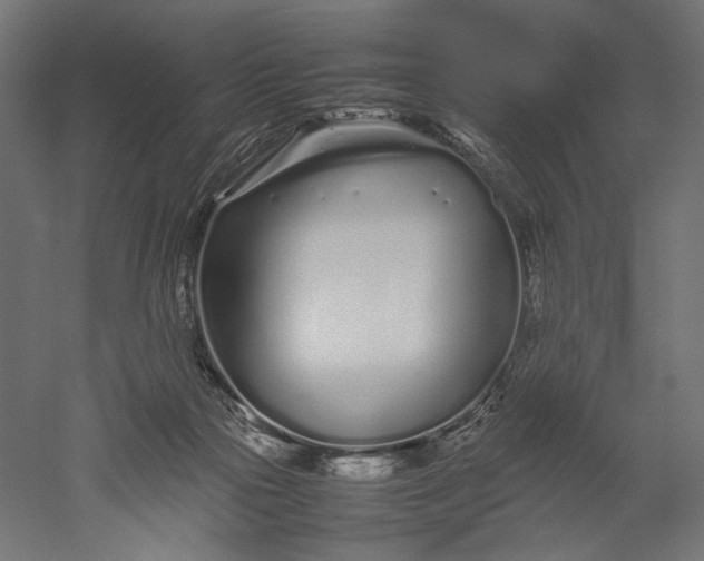 X0000051250169200507011701