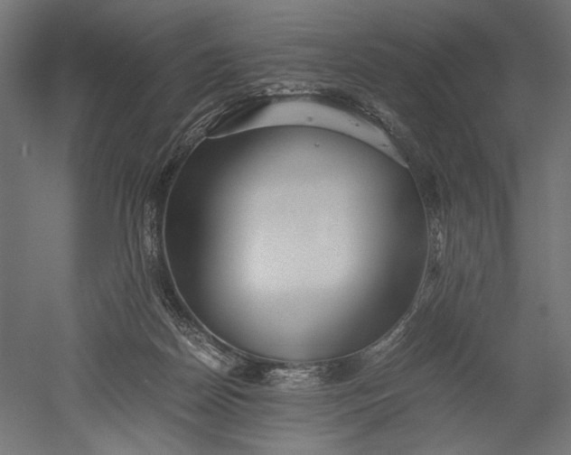 X0000051250170200507011701