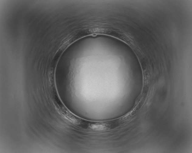 X0000051250171200507011701