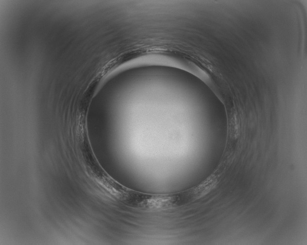 X0000051250172200507011702