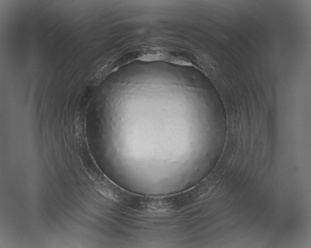 X0000051250173200507011702